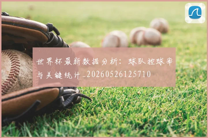 世界杯最新数据分析：球队控球率与关键统计_20260526125710