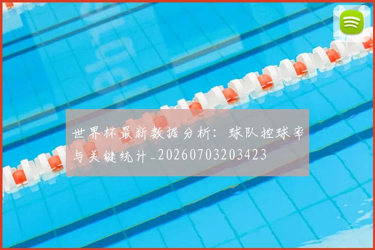 世界杯最新数据分析：球队控球率与关键统计_20260703203423