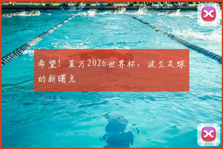 希望！莱万2026世界杯，波兰足球的新曙光
