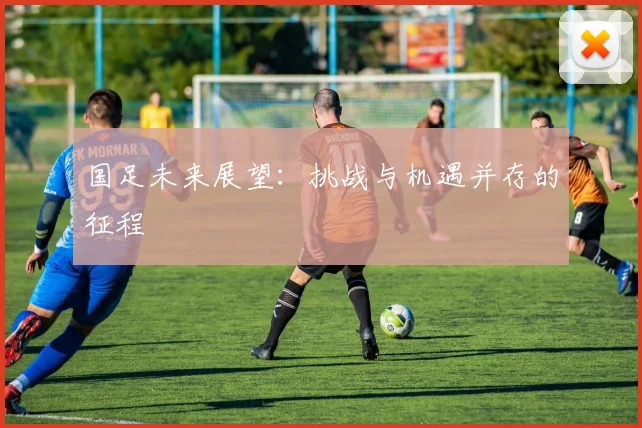 国足未来展望：挑战与机遇并存的征程