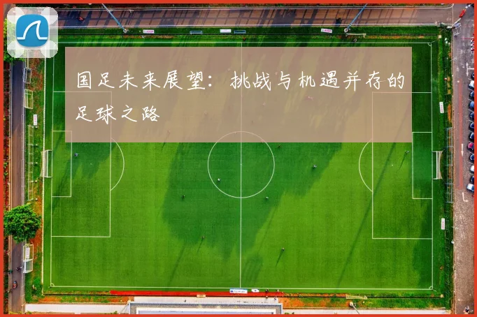 国足未来展望：挑战与机遇并存的足球之路